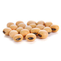 Soy-Beans-Clear-Hilum-Revised-img.jpeg
