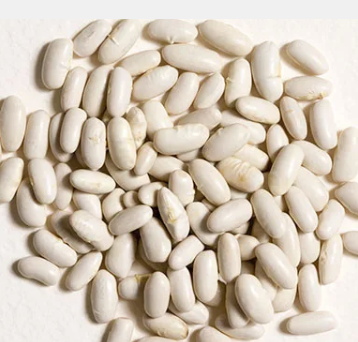 cannellini_beans_659649.PNG