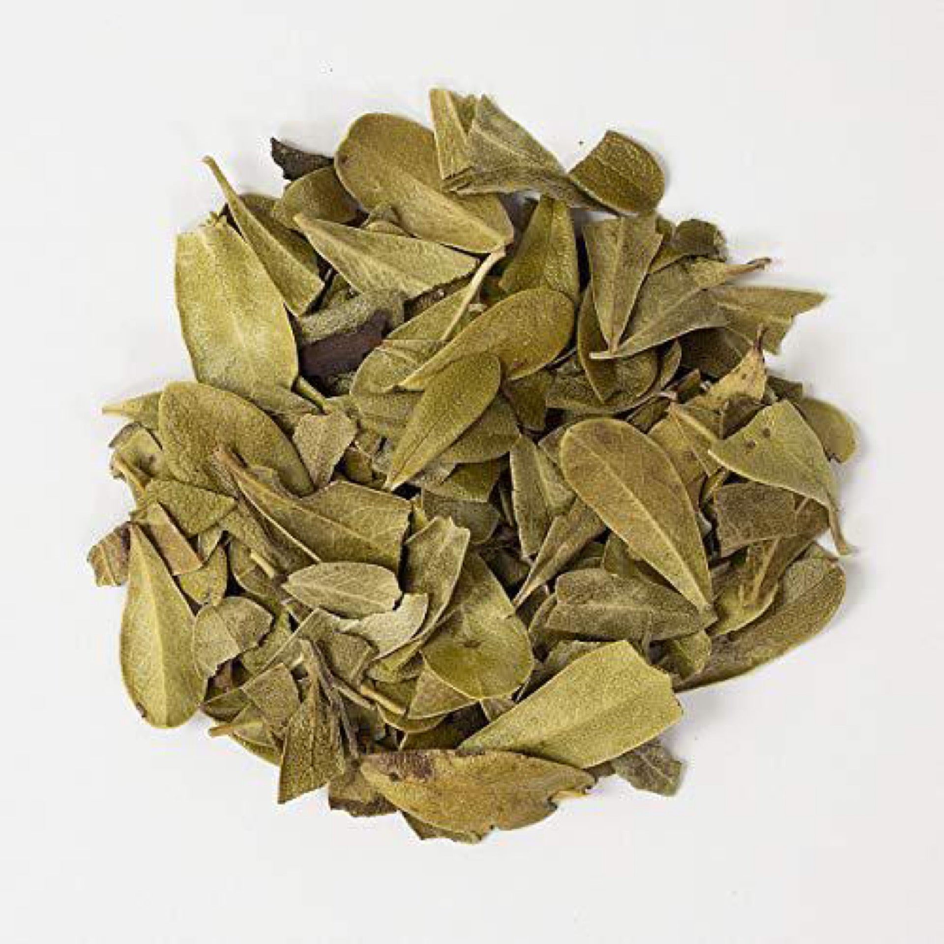 Uva Ursi Leaf