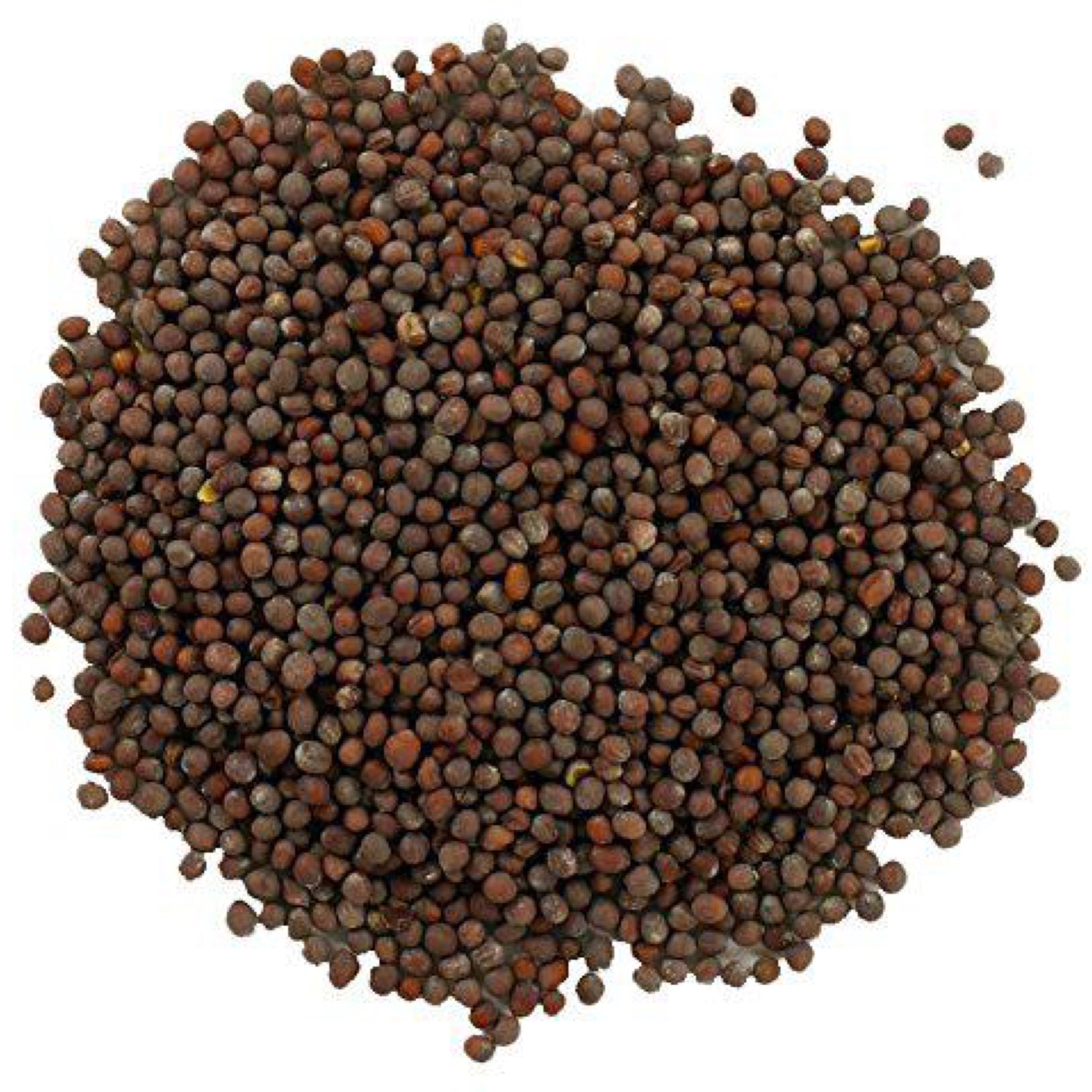 Organic Whole Brown Mustard Seed