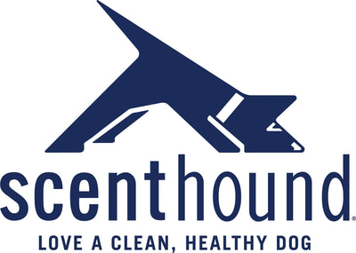 Scenthound South Tampa