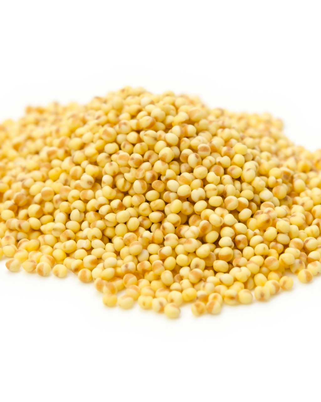 Organic Hulled Millet | Whole Grain