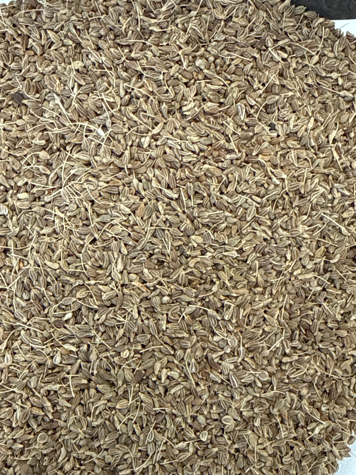 Whole Anise Seed – Sweet Licorice-Like Spice
