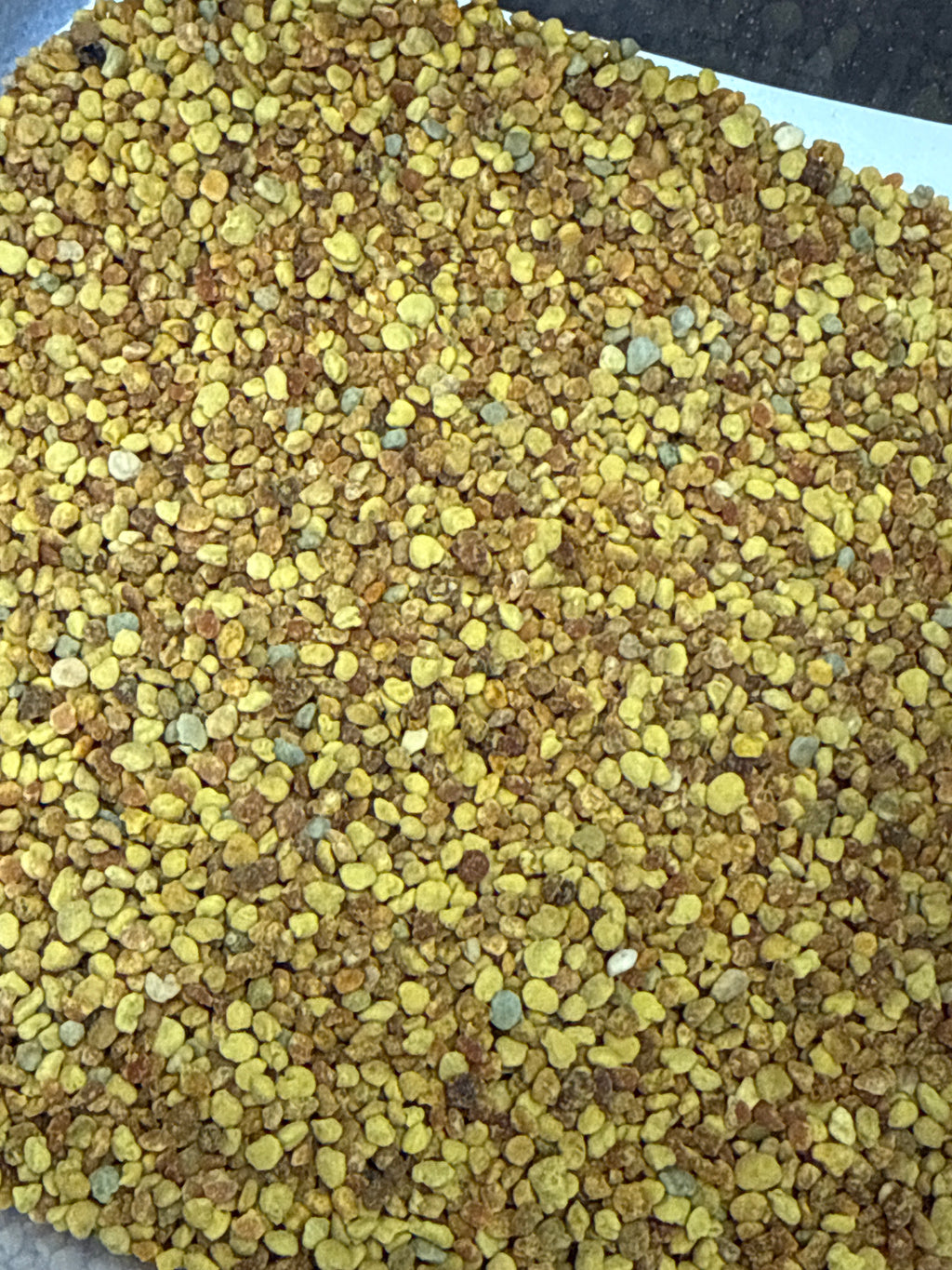 Raw Bee Pollen – Kosher & Non-Irradiated