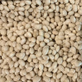 Navy Beans | Organic