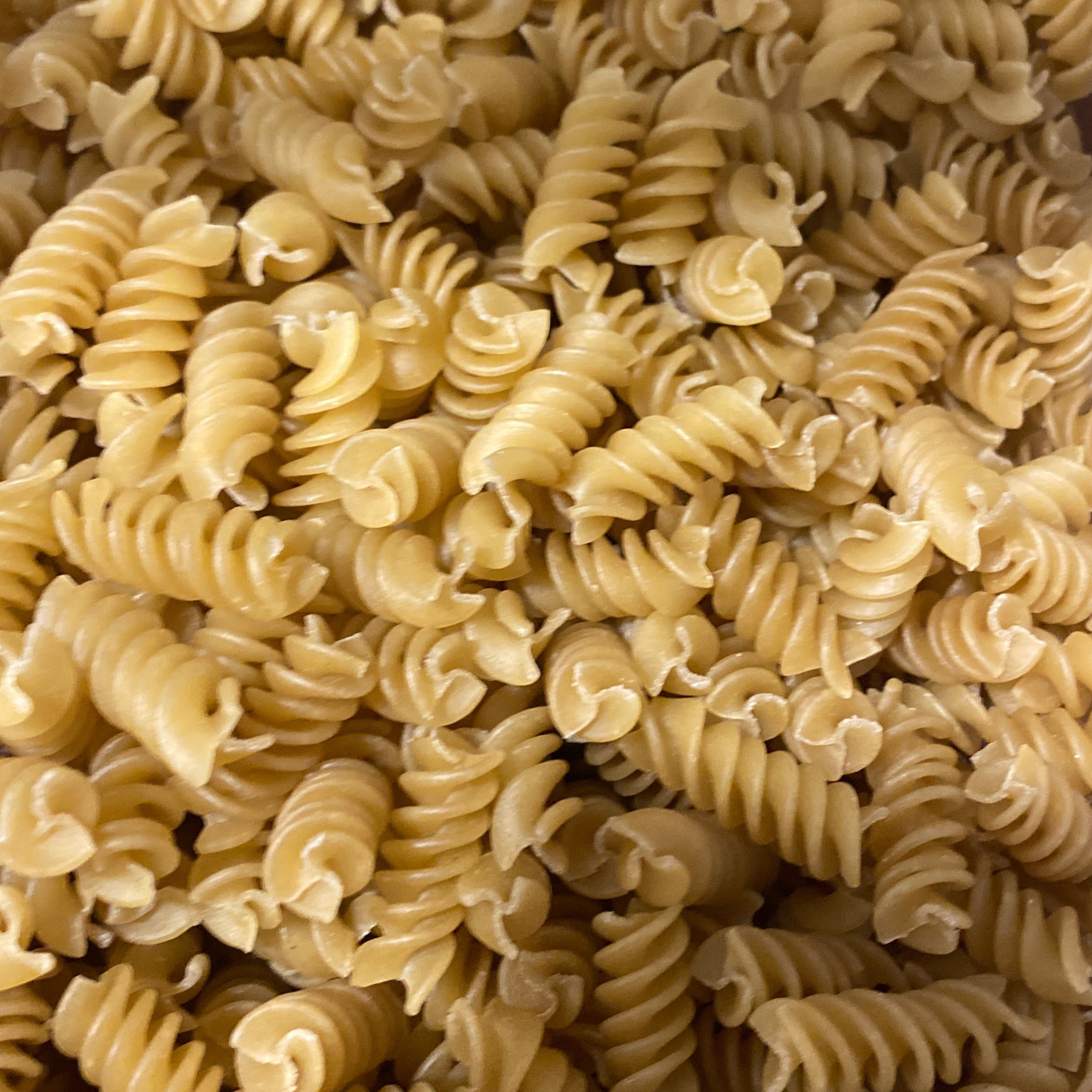 Gluten Free Organic Fusilli pasta