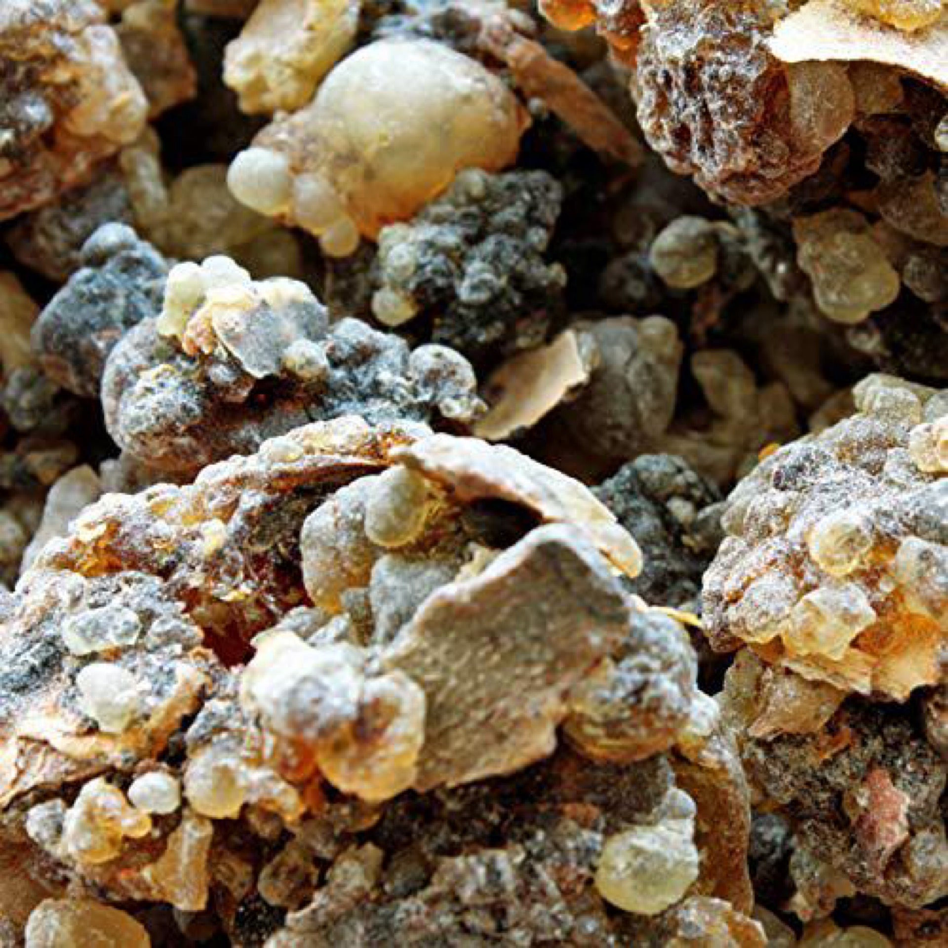 Frankincense Tears