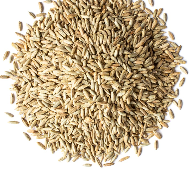 rye_berries_465195.PNG