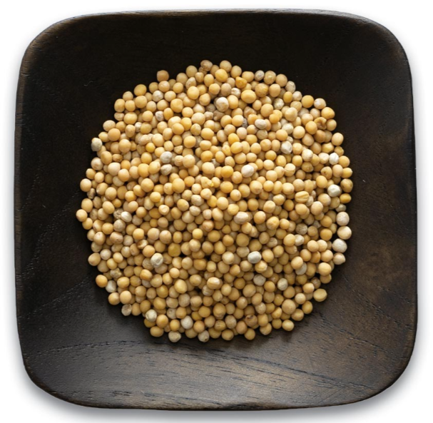 yellow_mustard_whole_117506T.PNG