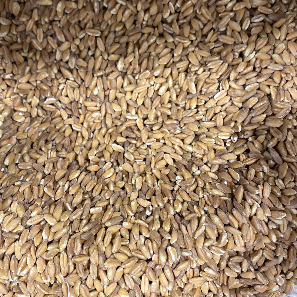 Farro Pearled | Organic