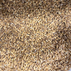 Farro Pearled | Organic