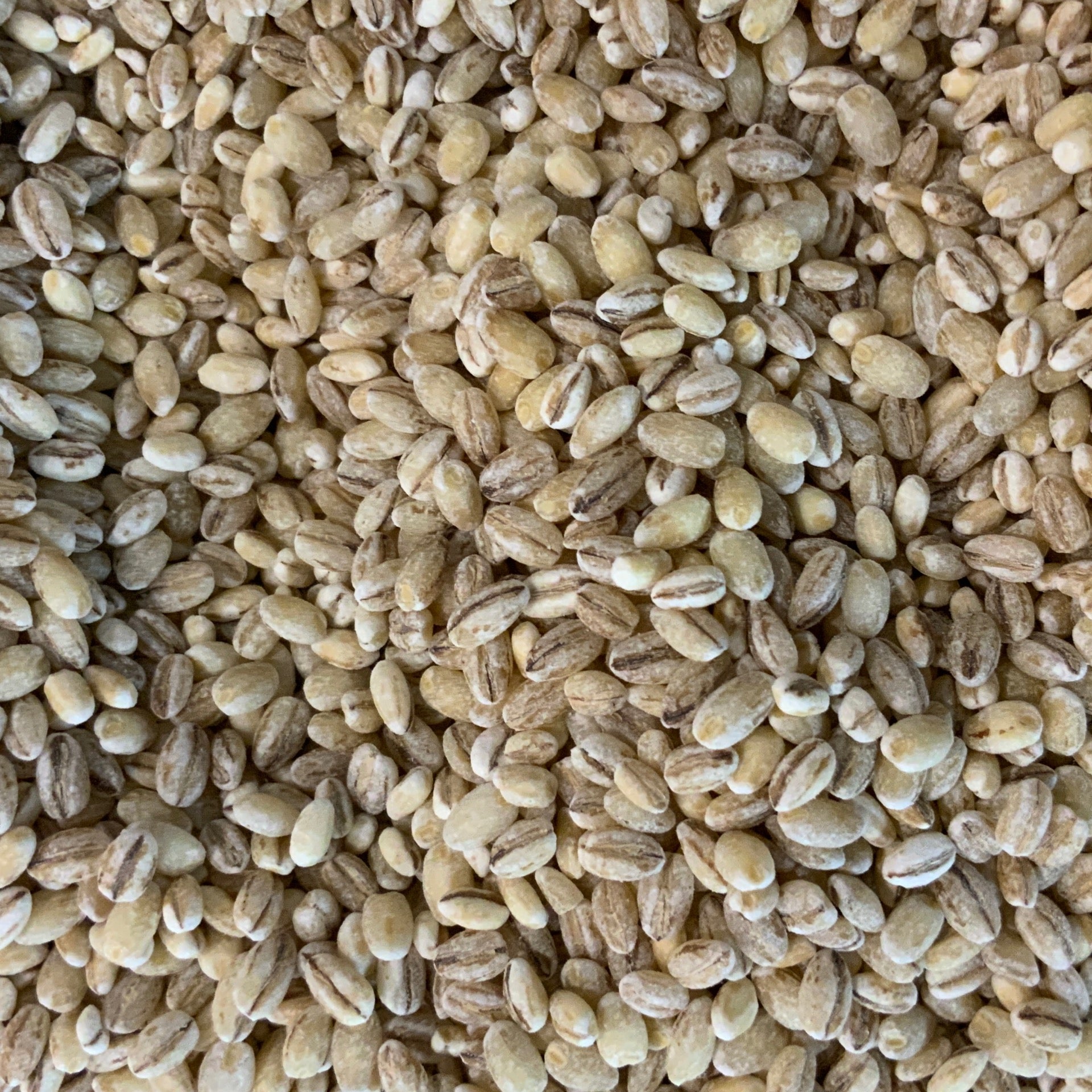 Barley Pearled Organic