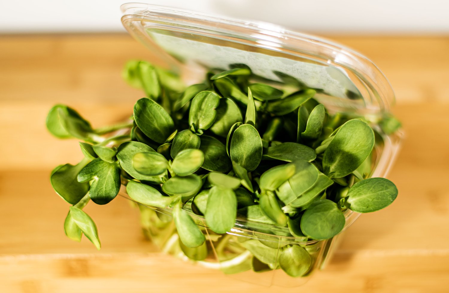 sunflowermicrogreens.jpg