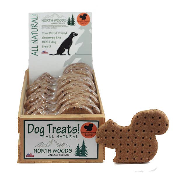 Dog Treat | Pumpkin Squash Squirrel