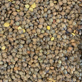 Lentils Brown Organic