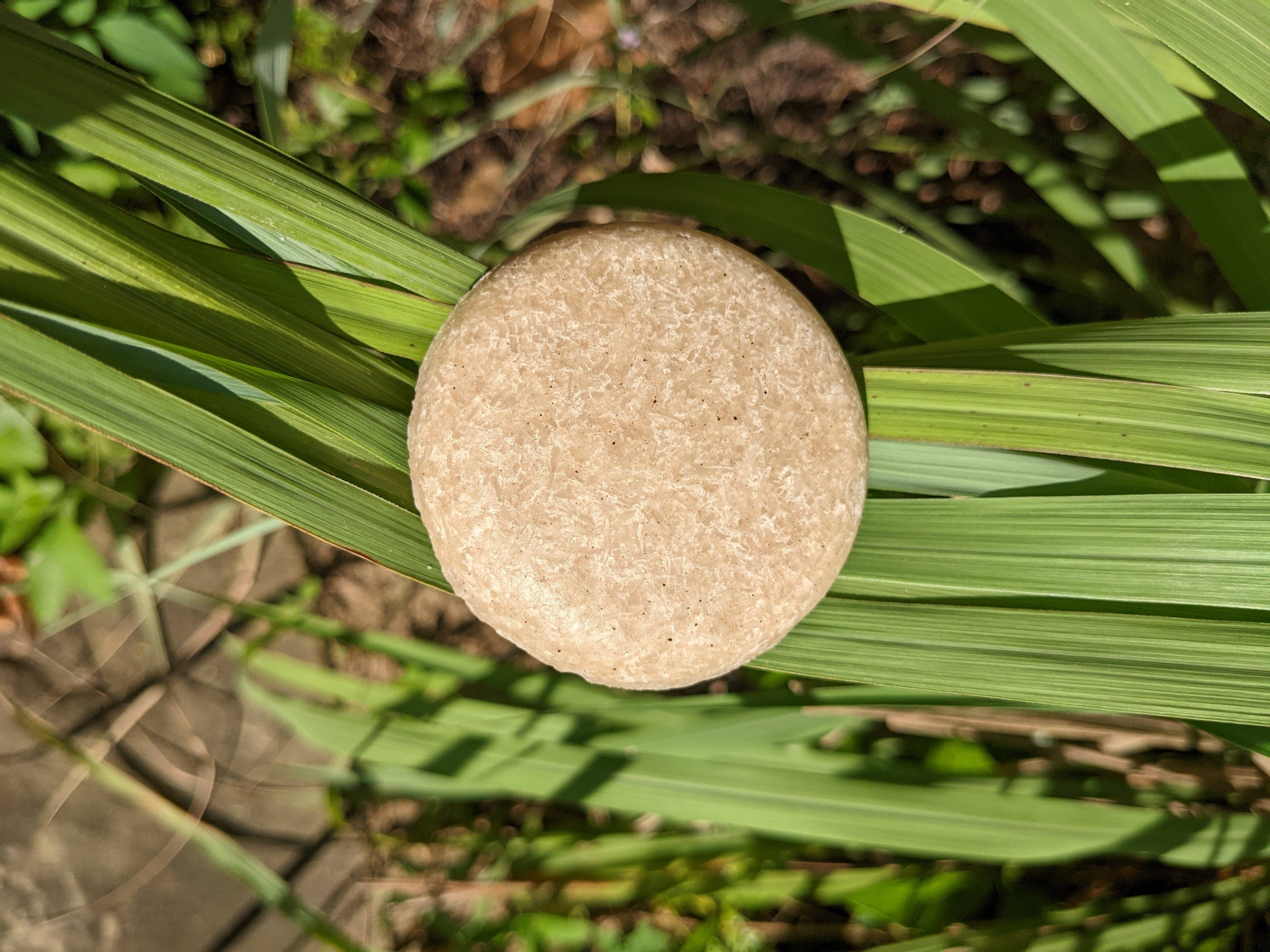 Pet Shampoo Bars