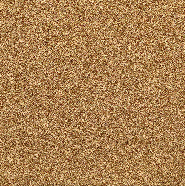 amaranth_643940.PNG