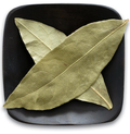 Bay Leaf.PNG