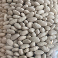 Great Northern Beans Organic