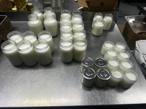 16 oz All Natural Tallow Lotion | One Ingredient Skin Cream