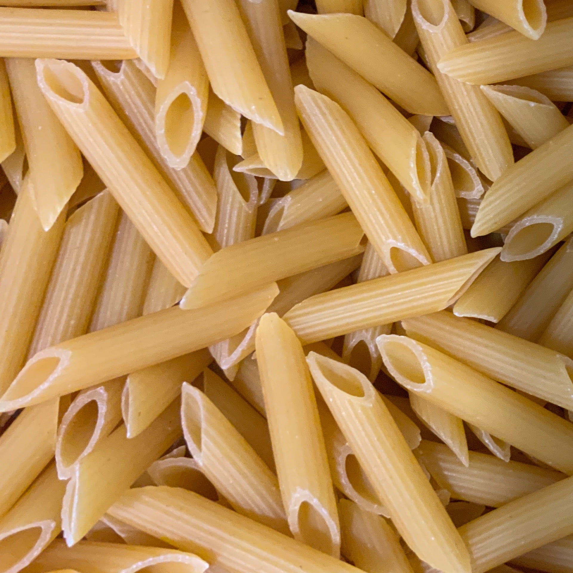 Penne Rigate Pasta