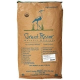 Organic Whole Wheat Flour