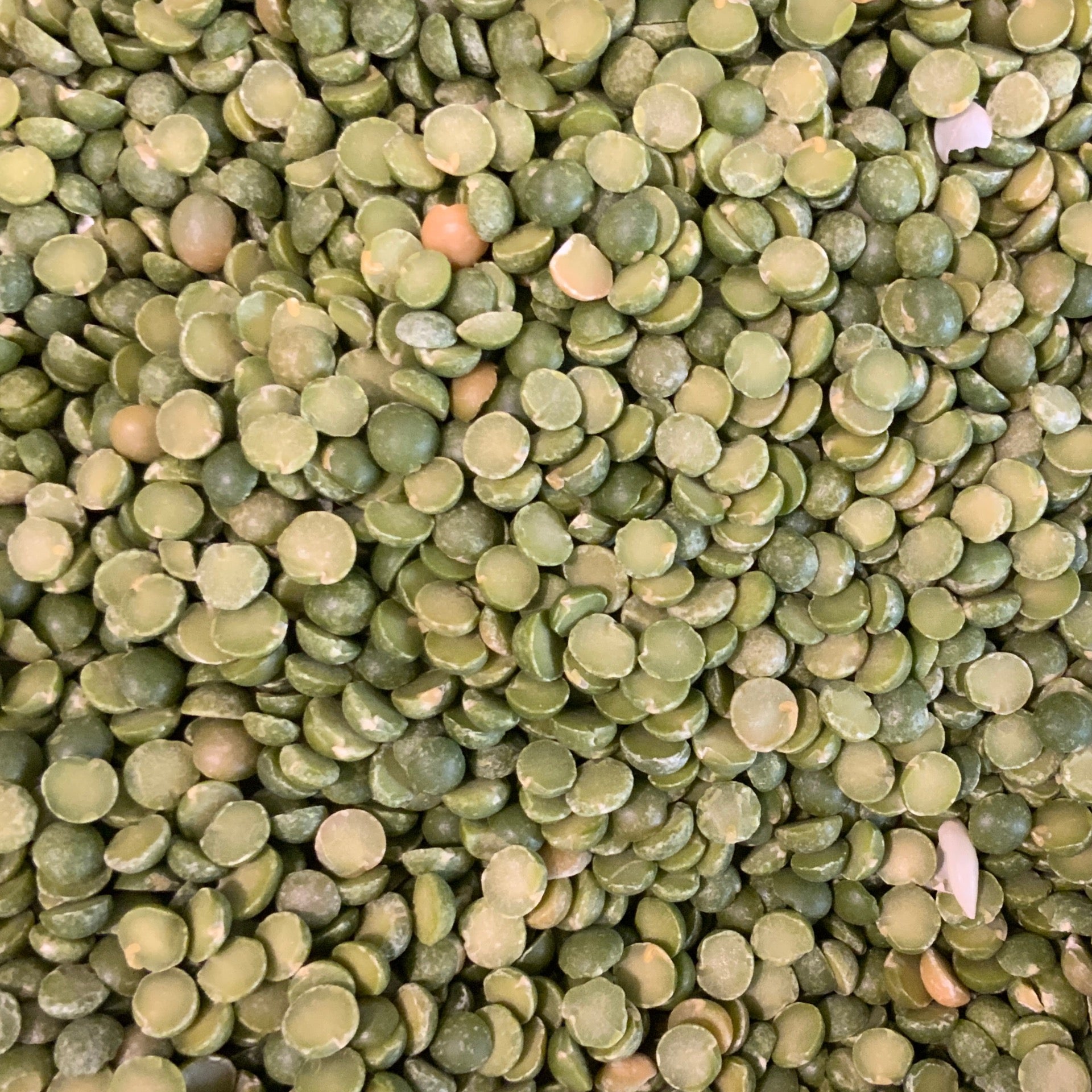 Lentils Green Organic