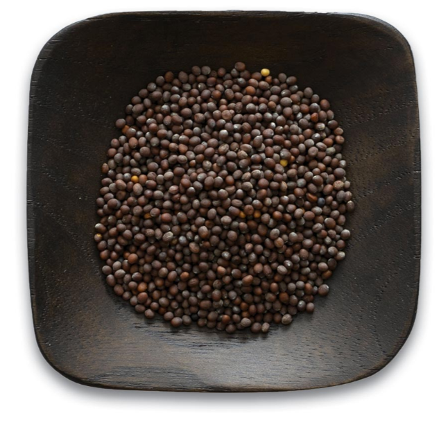 Brownmustardseed.PNG