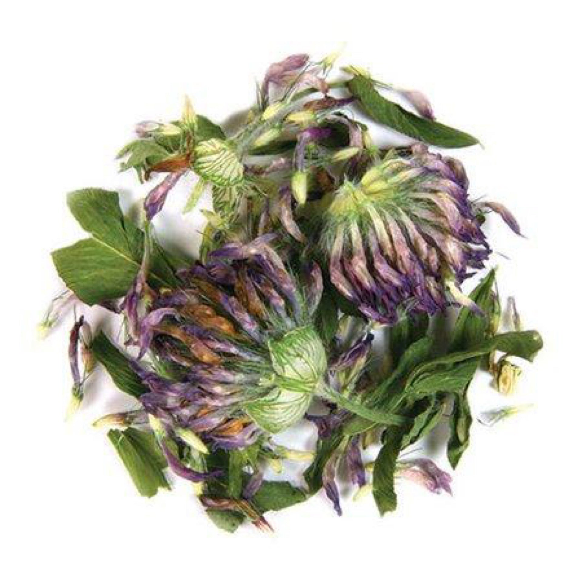 Red Clover Blossoms | Organic