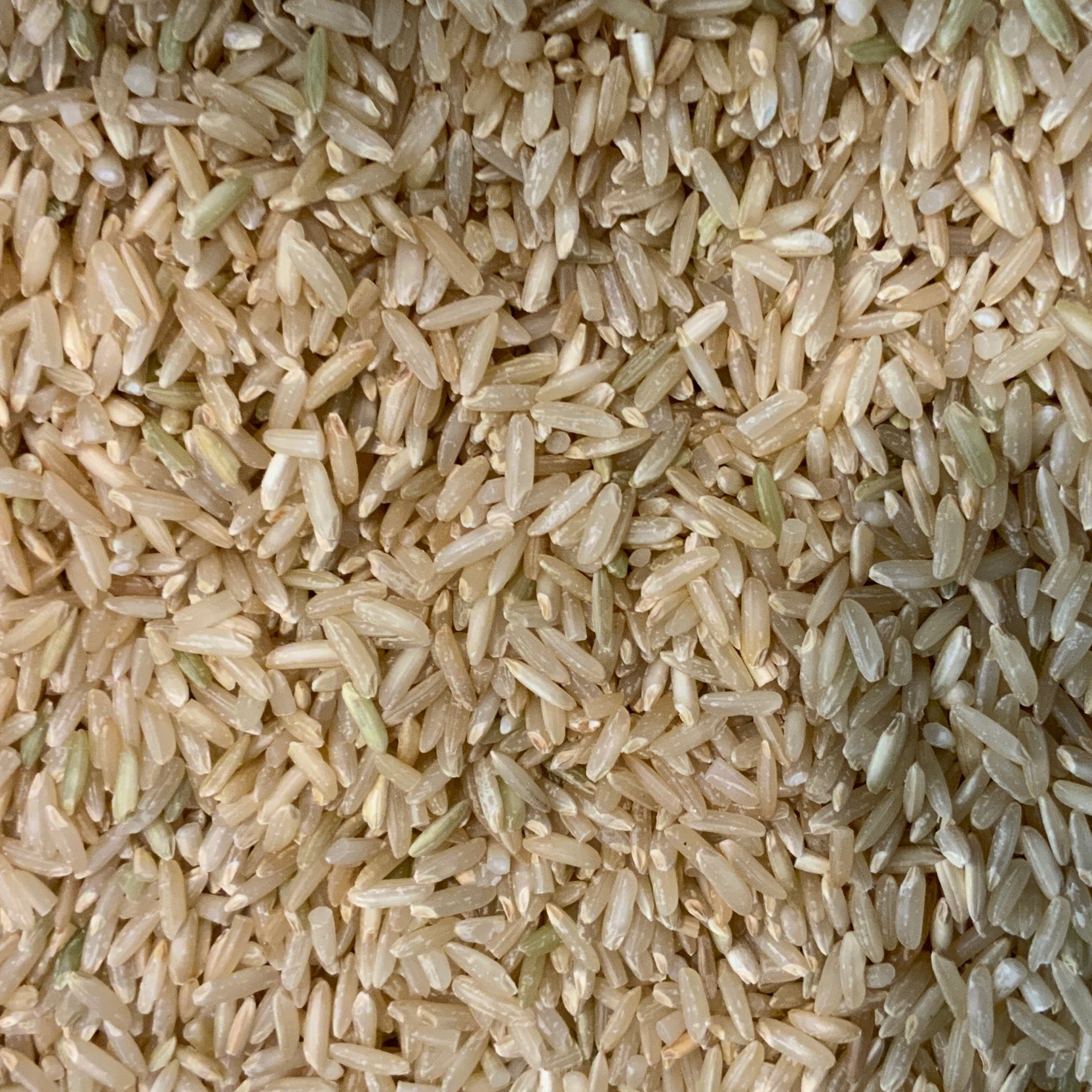 Basmati Rice Brown Organic