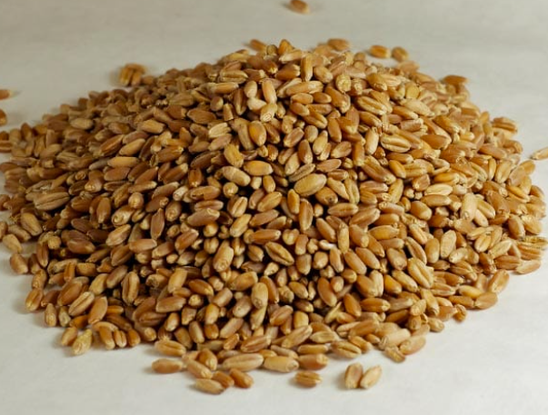 wheatberrieshardred_308817.PNG