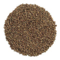Celery Seed Whole | Organic