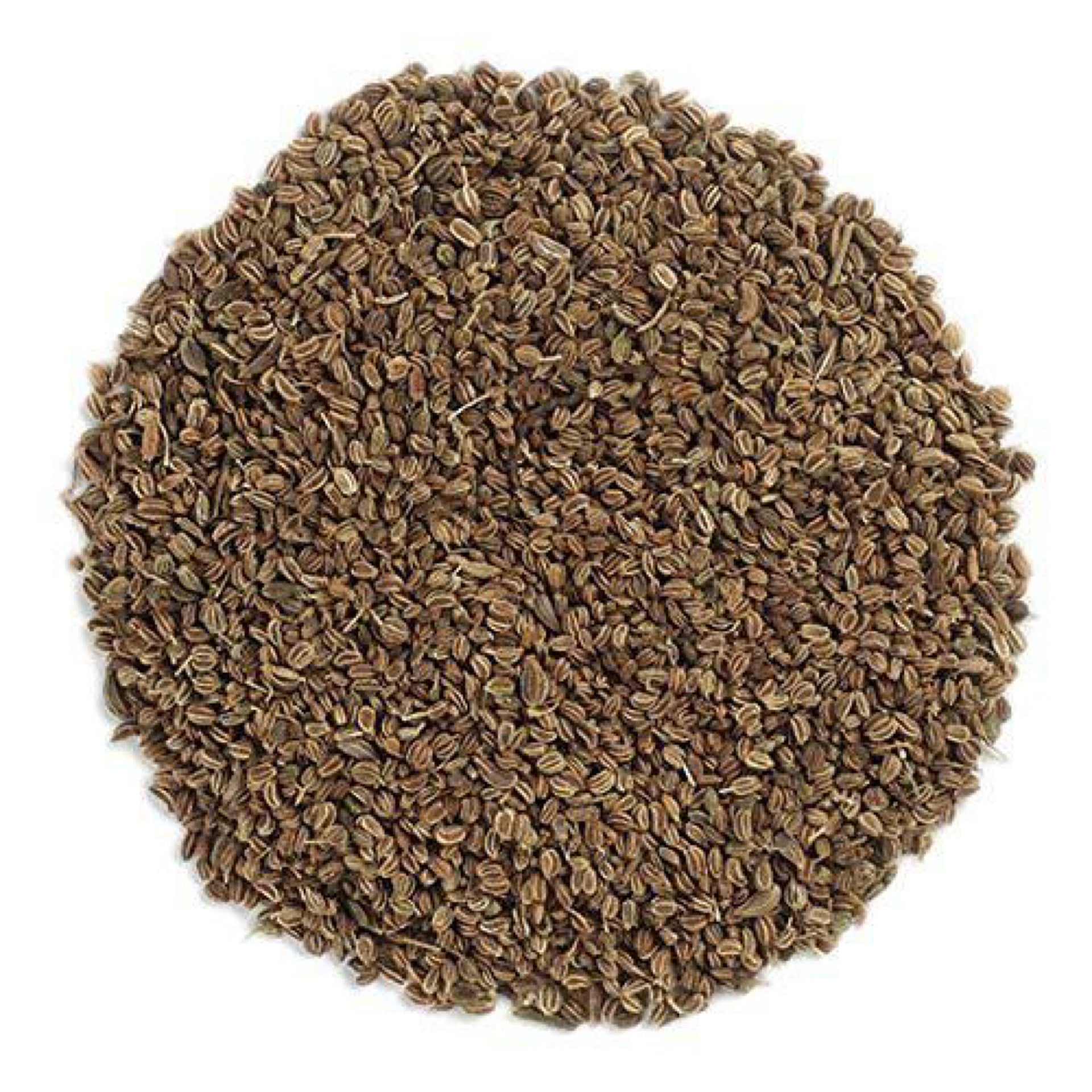 Celery Seed Whole | Organic