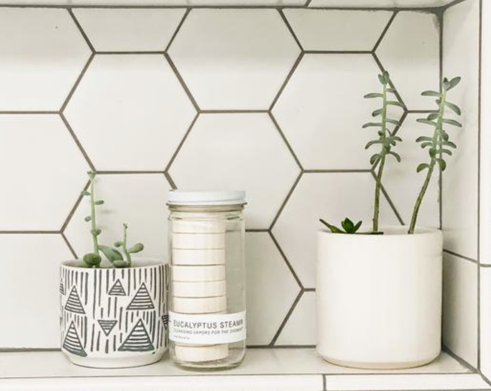 Shower Steamers | Eucalyptus Steam | Earth and Daughter