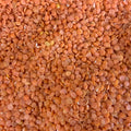 Lentils Red Split Organic