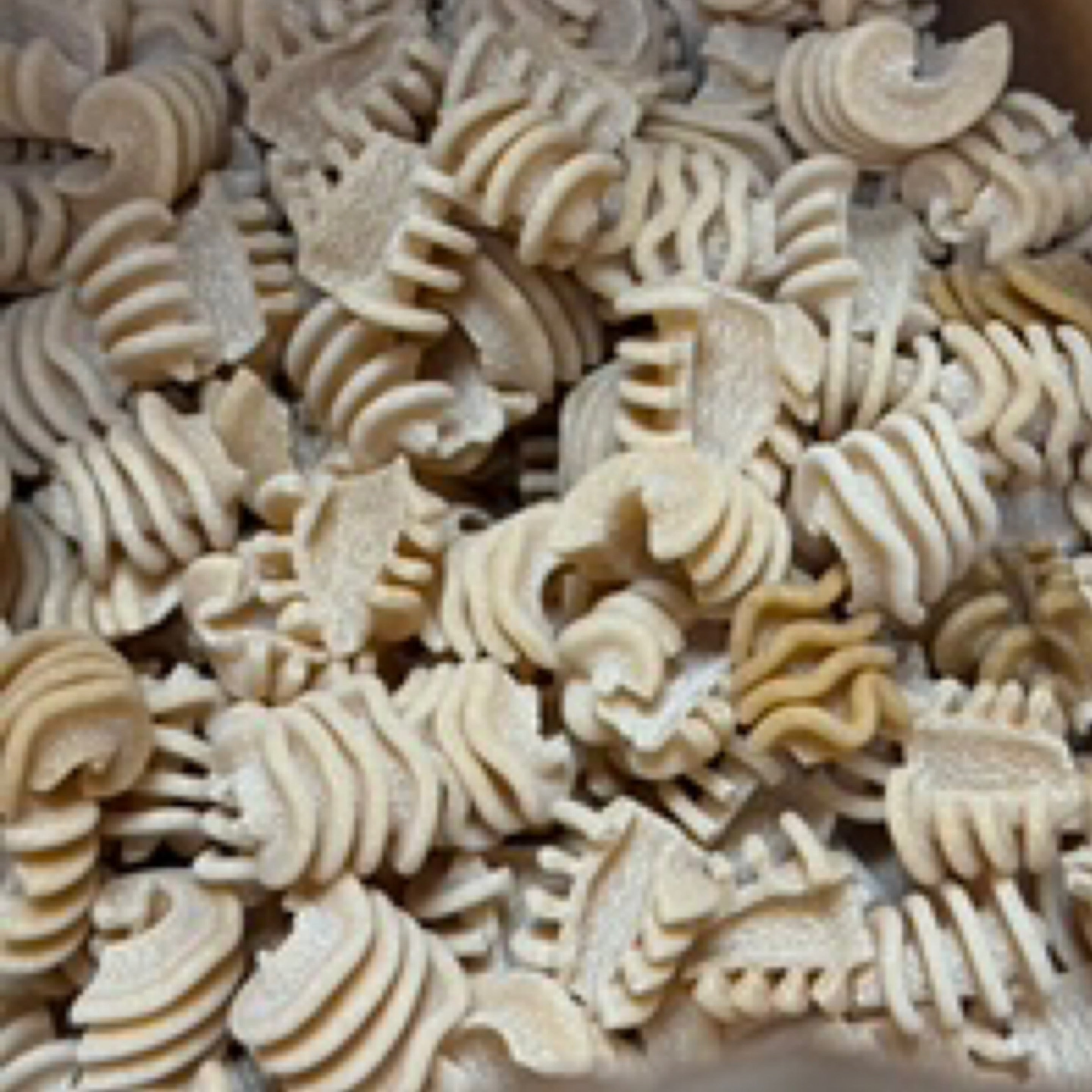 Radiatori Azuroni Khorasan Pasta Organic