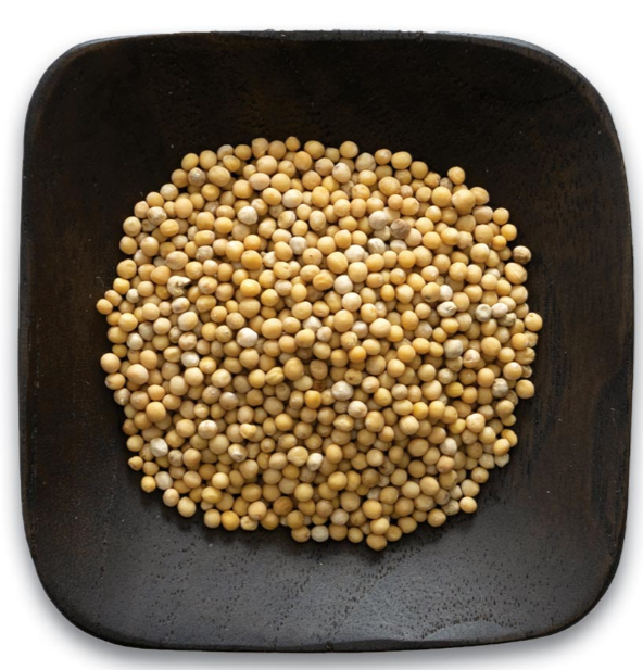 Mustard_yellow_653326D.PNG