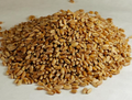 wheatberrieshardred_308817.PNG