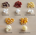 Popcorn.PNG