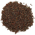 Organic Whole Brown Mustard Seed