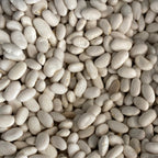Great Northern Beans Conventional